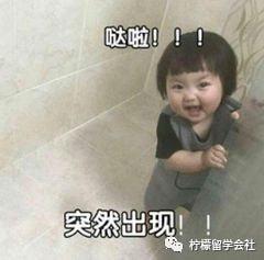 抵债韩国表情包,趣味横生的社交新宠